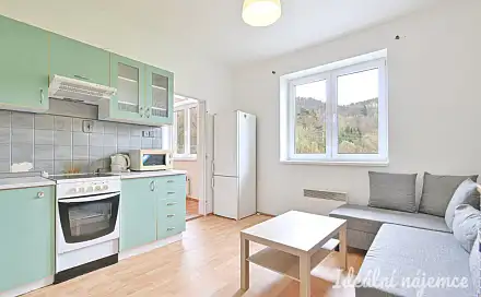 Pronájem bytu 2+kk 38 m²