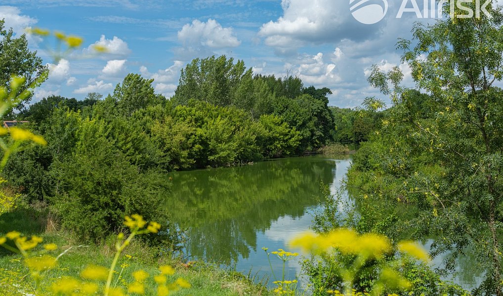 Prodej stavebního pozemku 776 m², Bulhary – náhled fotky 4
