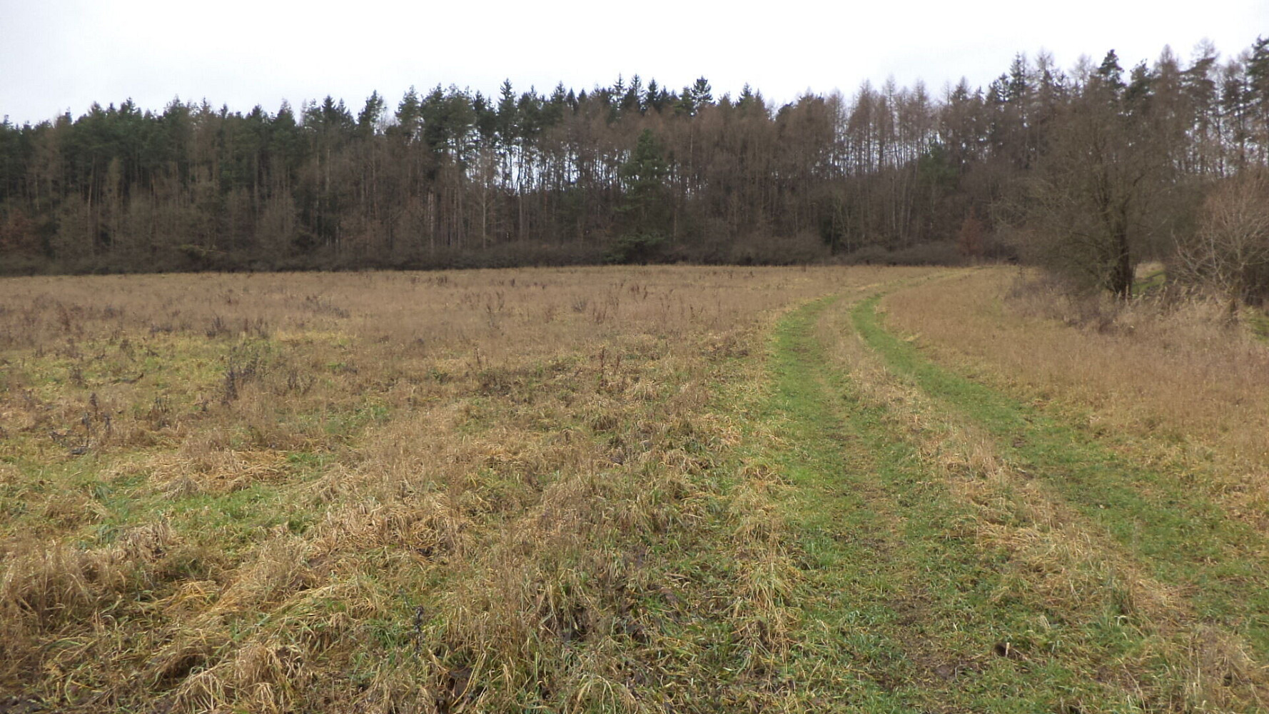 Prodej pole 7 890 m²