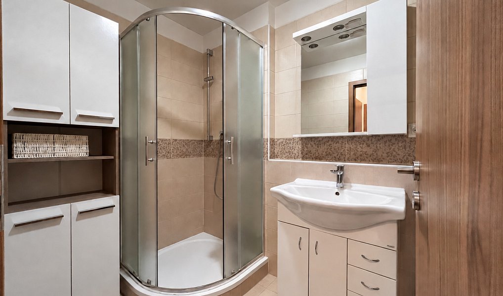 Pronájem bytu 2+kk 51 m², Plzeň – náhled fotky 8