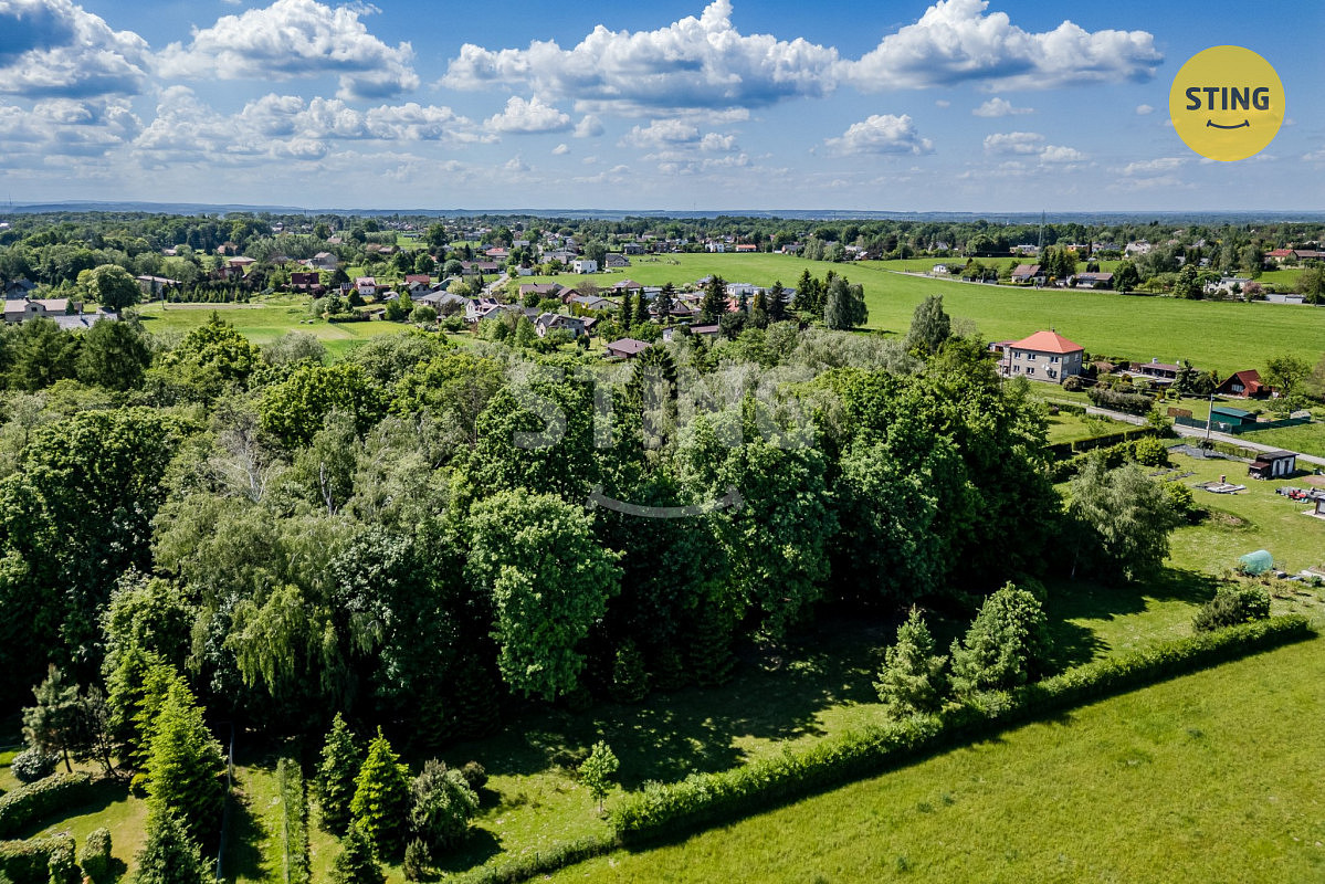 Prodej lesa 1 028 m² – fotografie 2