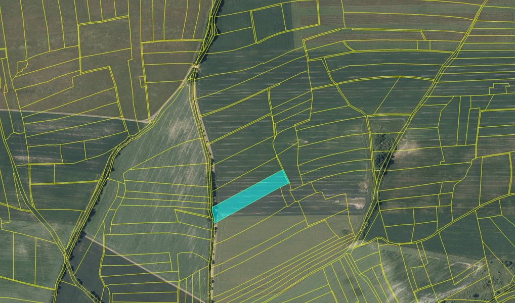 Prodej pole 11 553 m², Slabce – náhled fotky 2