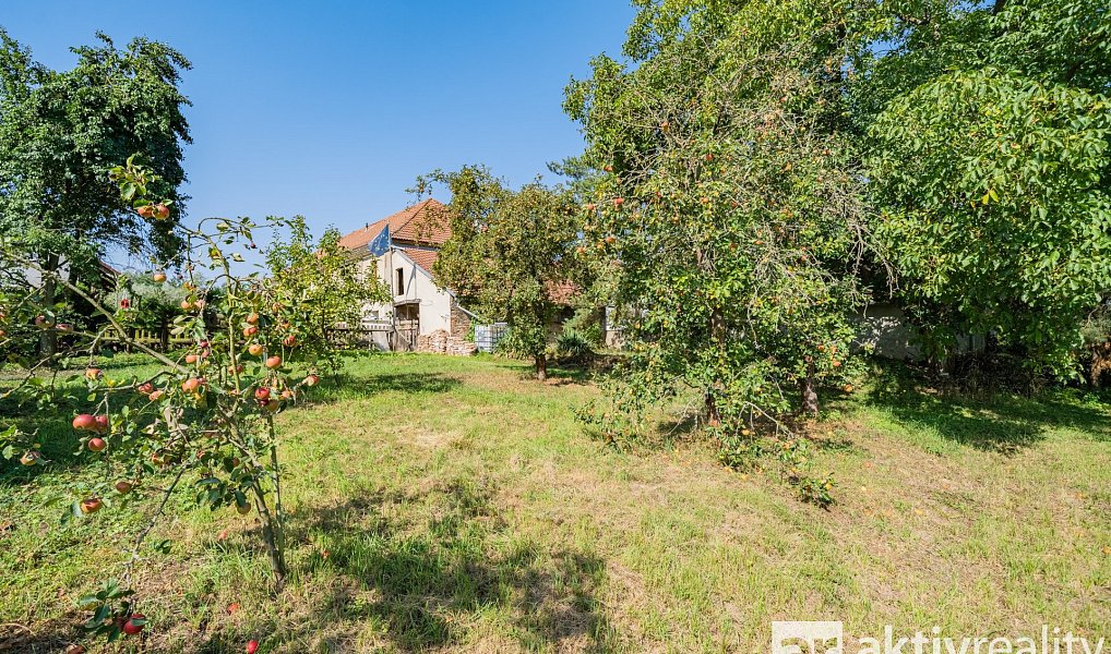 Prodej stavebního pozemku 1 690 m², Horní Počaply – náhled fotky 12