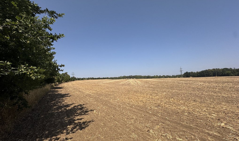 Prodej zahrady 500 m², Ořechov – náhled fotky 3