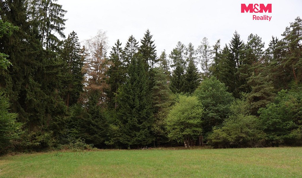 Prodej lesa 1 762 m², Chanovice – náhled fotky 3