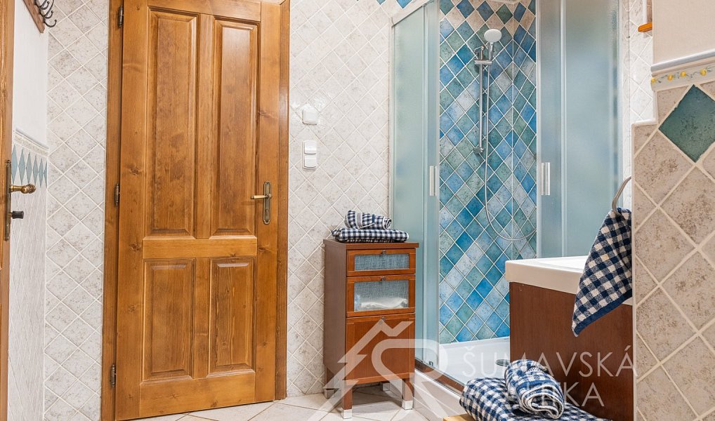 Prodej domu 259 m² s pozemkem 4 093 m², Nicov – náhled fotky 19