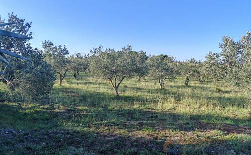 Prodej stavebního pozemku 6 169 m², Zadar, Chorvatsko