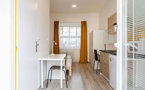 Pronájem bytu 1+kk 19 m², Václavská, Brno - Staré Brno