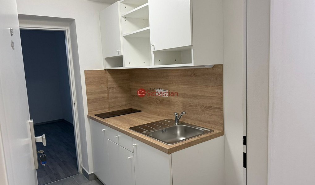 Pronájem bytu 1+kk, 20 m², Trnovany - Teplice, Teplice