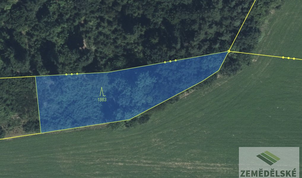 Prodej lesa 4 836 m², Velký Vřešťov – náhled fotky 12