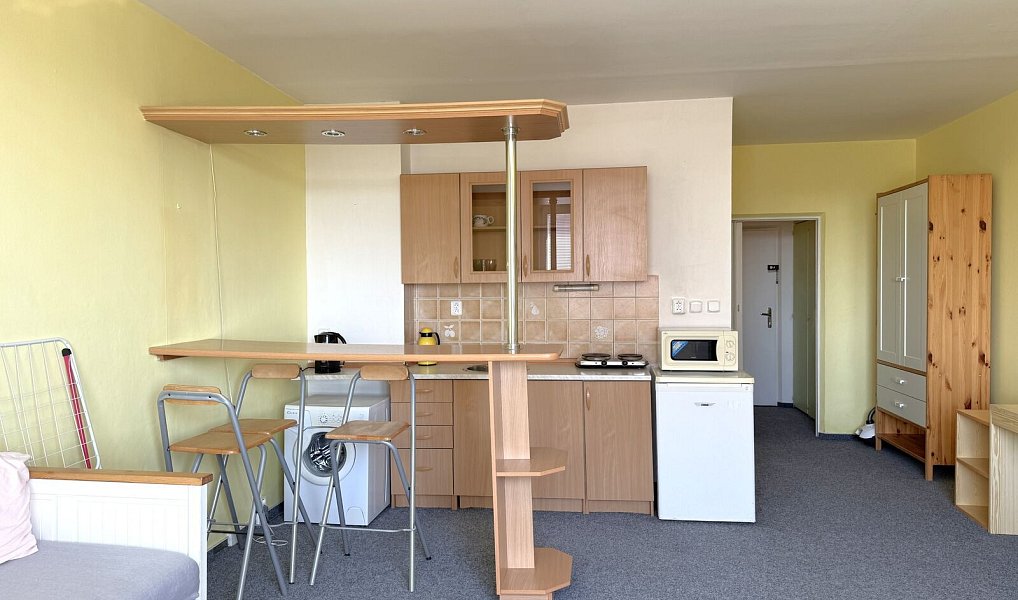 Pronájem bytu 1+kk 35 m², Plzeň – náhled fotky 5