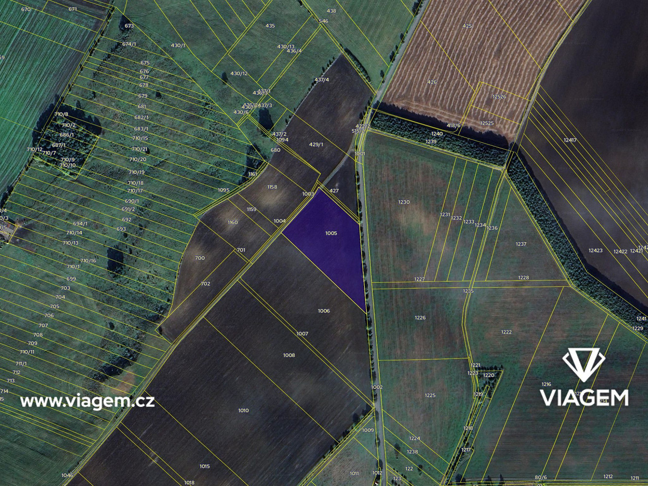 Prodej pole 309 m² – fotografie 4