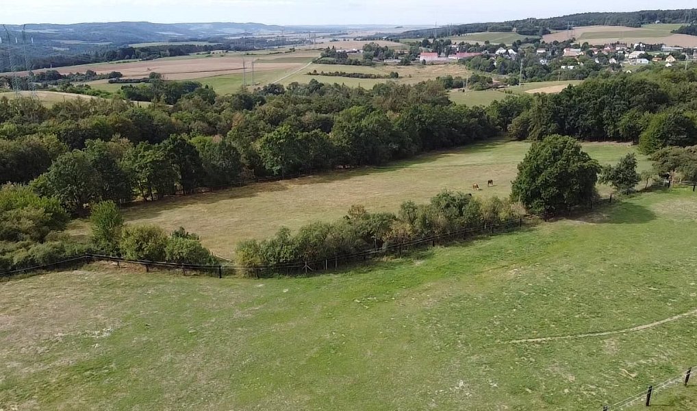 Prodej louky 6 229 m², Bojanovice – náhled fotky 17