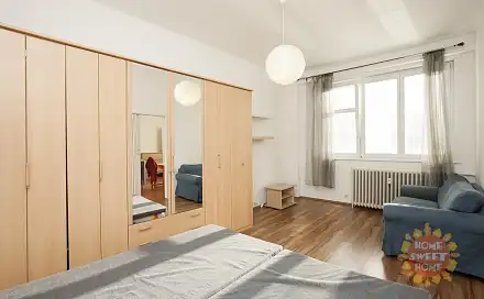 Pronájem bytu 1+1 46 m²