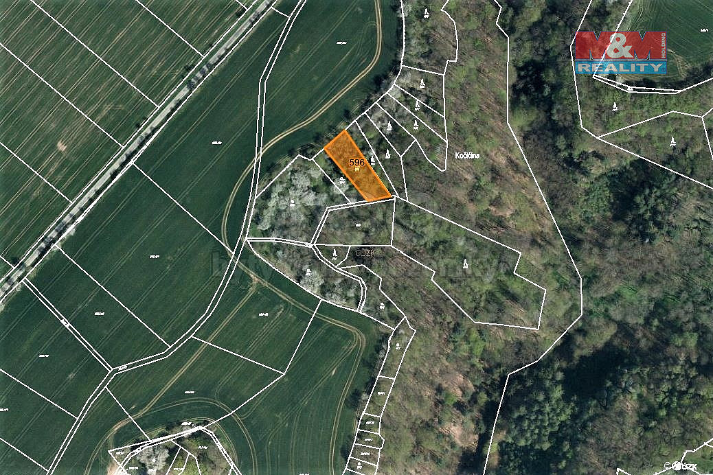 Prodej lesa 1 050 m² – fotografie 4