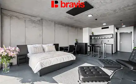 Pronájem bytu 1+kk 36 m², Královopolská, Brno - Žabovřesky