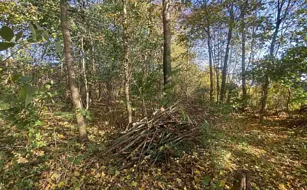 Dražba stavebního pozemku 1 043 m², Zdislava