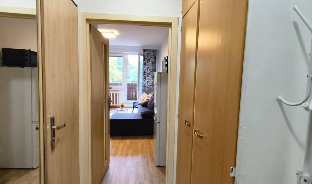 Pronájem bytu 1+kk 28 m², Bohumín – náhled fotky 3