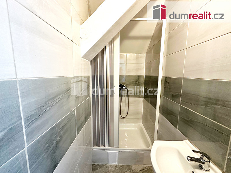 Pronájem bytu 1+1 48 m² – fotografie 3