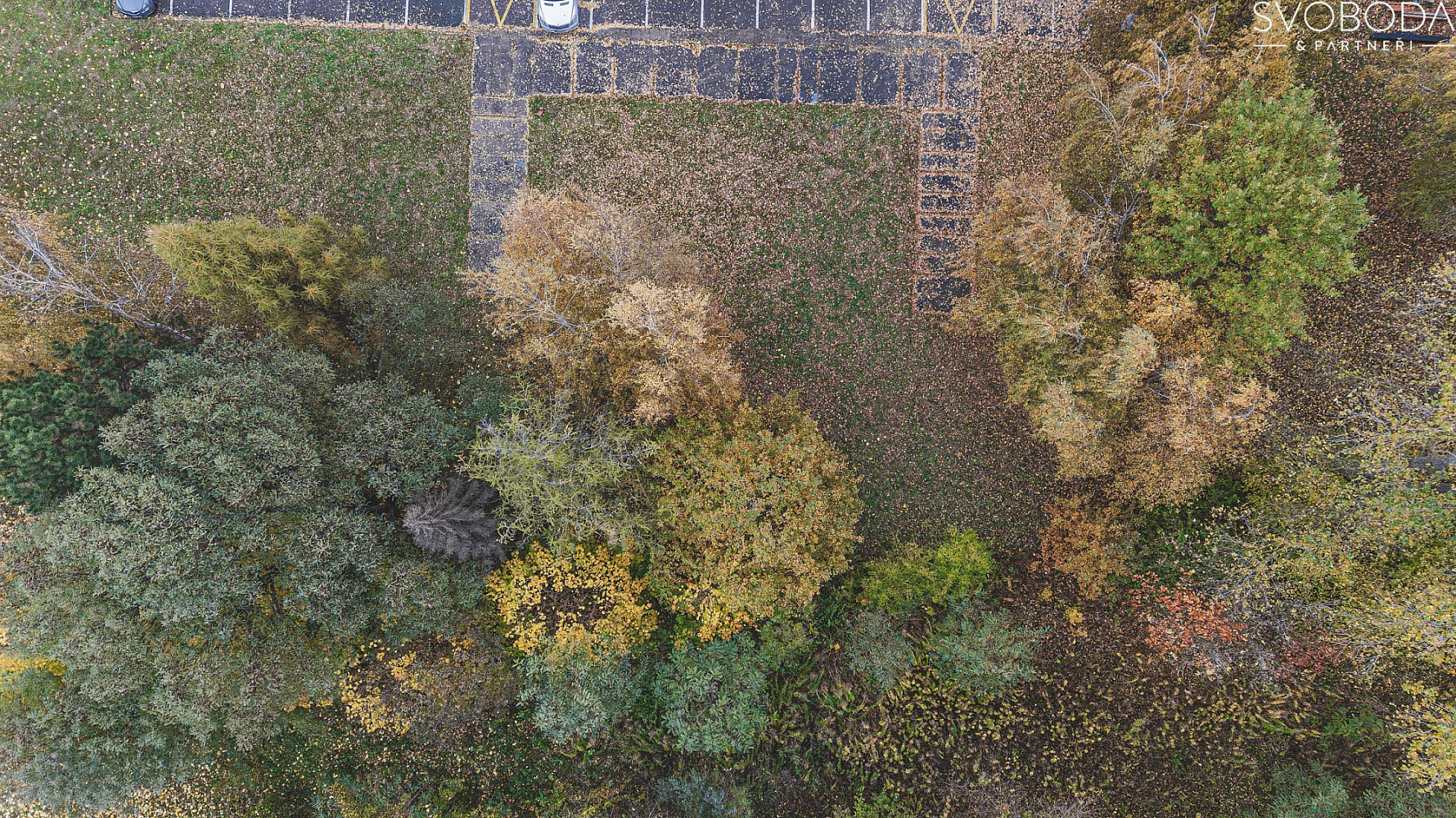 Prodej komerčního pozemku 2 446 m² – fotografie 4