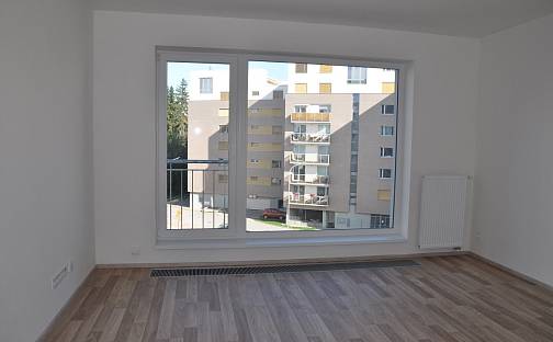 Pronájem bytu 1+kk 28 m², Volejbalistů, České Budějovice - České Budějovice 2