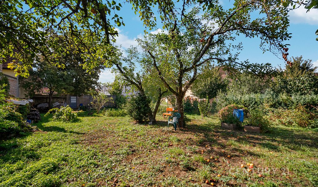 Prodej stavebního pozemku 569 m², Šlapanice – náhled fotky 14
