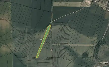Prodej pole 6 007 m², Račiněves, okres Litoměřice