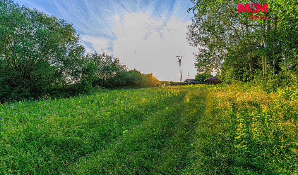 Prodej louky 4 590 m², Horní Bříza – náhled fotky 8