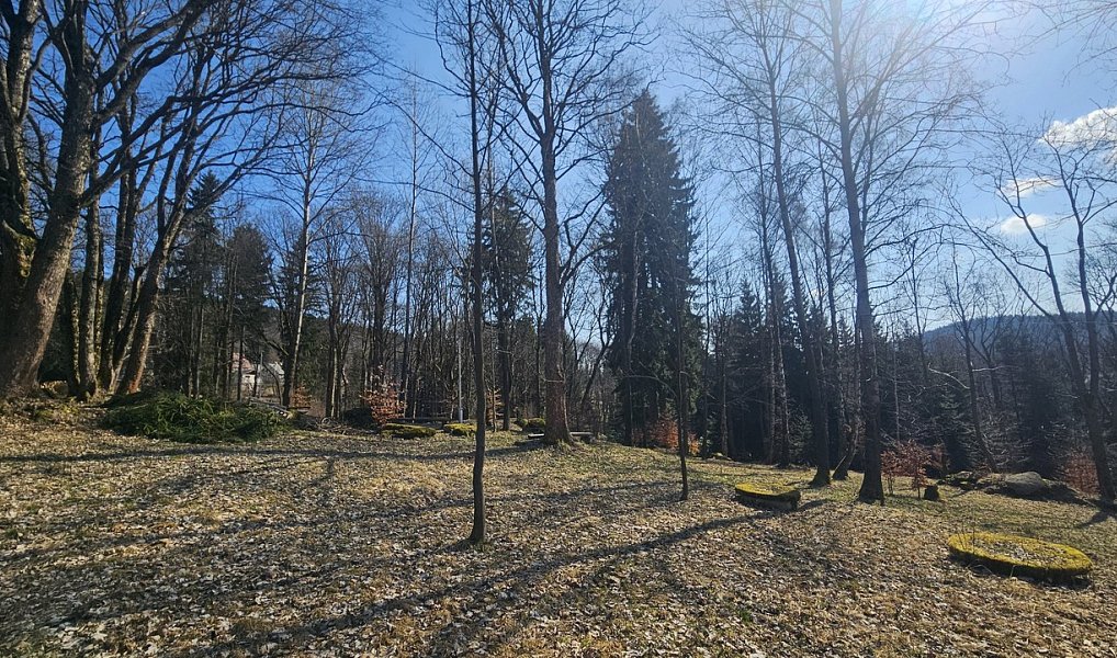 Prodej domu 635 m² s pozemkem 11 396 m², Janov nad Nisou – náhled fotky 6