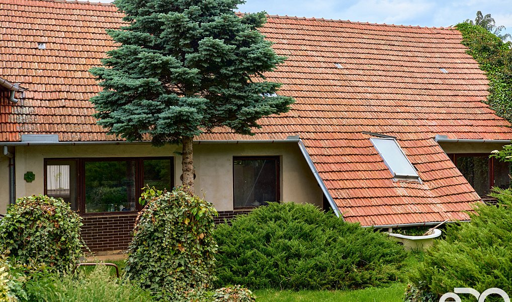 Prodej domu 320 m² s pozemkem 1 765 m², Chudčice – náhled fotky 8