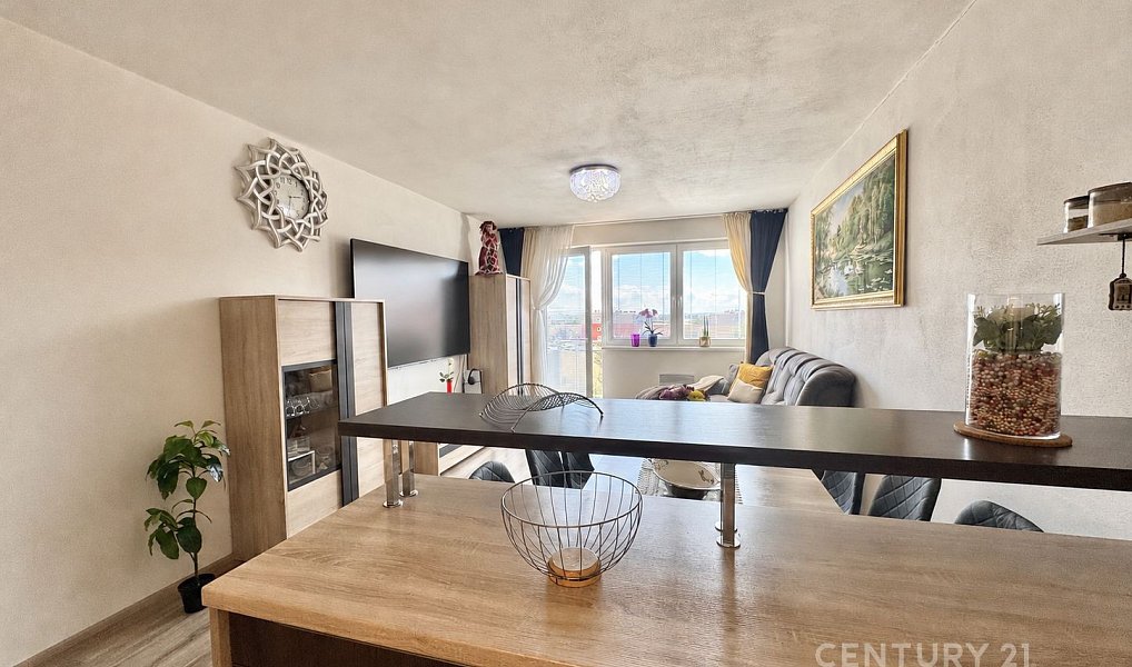 Prodej bytu 3+kk 68 m², Brno – náhled fotky 4