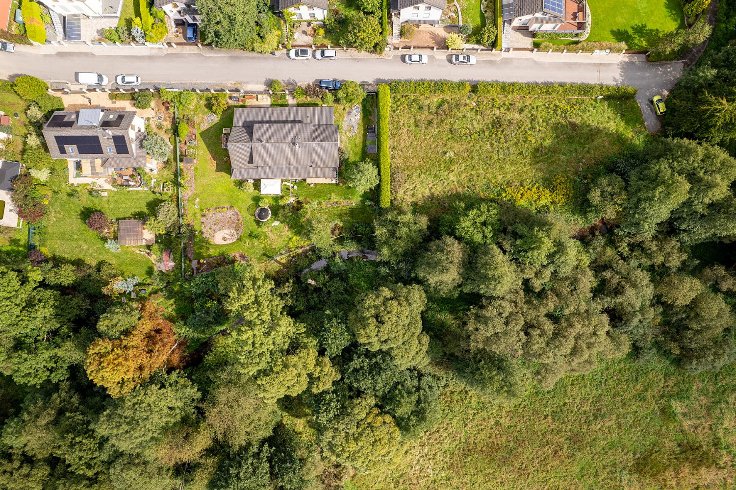 Prodej stavebního pozemku 2 281 m² – fotografie 4