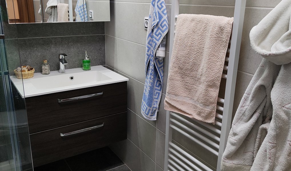 Pronájem bytu 3+1 67 m², Planá – náhled fotky 12