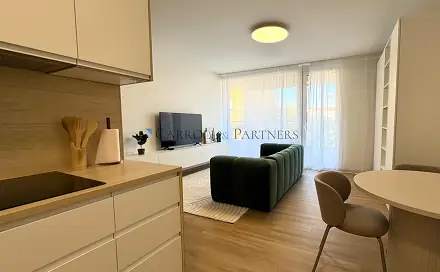 Pronájem bytu 1+kk 40 m², U Hájenky, Ostrava - Slezská Ostrava