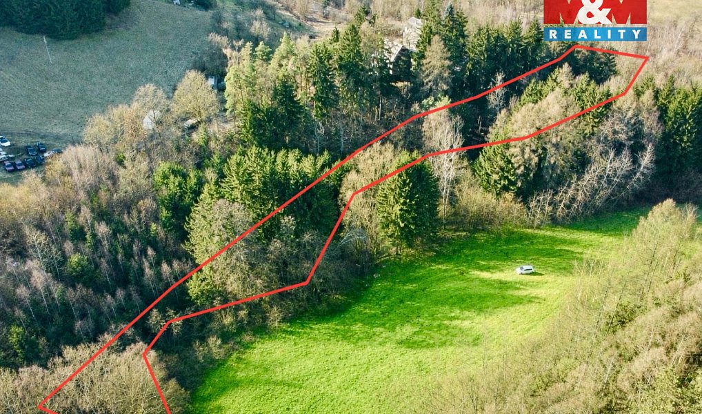 Prodej lesa 4 113 m², Dolní Dobrouč – náhled fotky 8