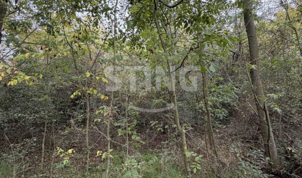 Prodej pozemku 10 074 m², Kleneč – náhled fotky 3
