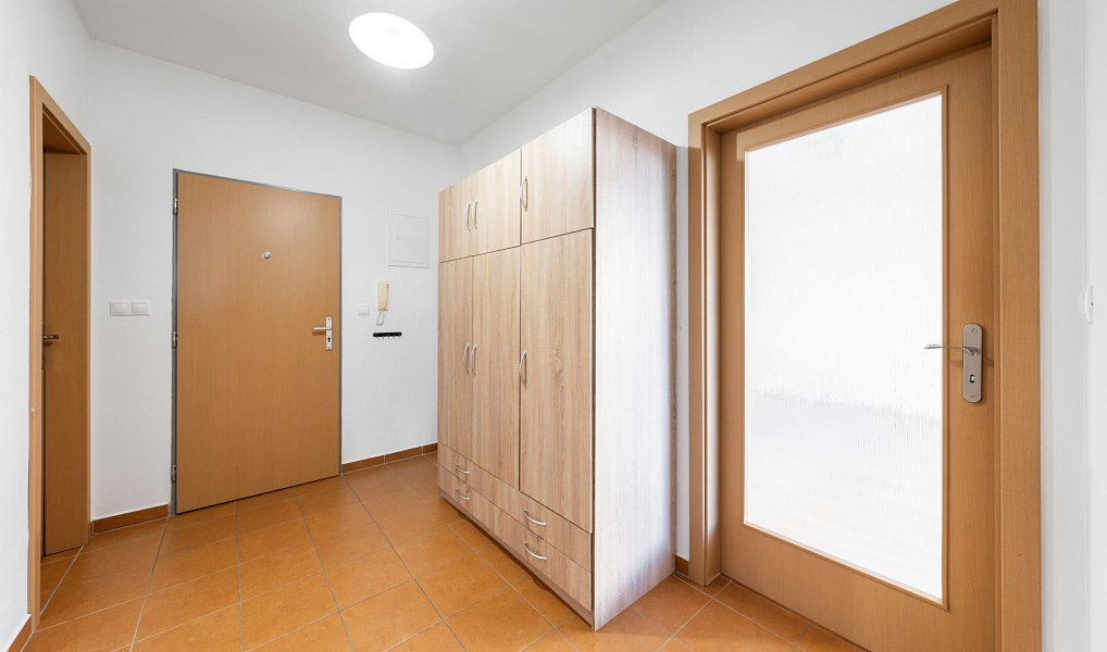 Pronájem bytu 2+kk 57 m², Plzeň – náhled fotky 9