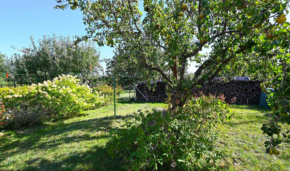 Prodej domu 239 m² s pozemkem 385 m², Dub nad Moravou – náhled fotky 5