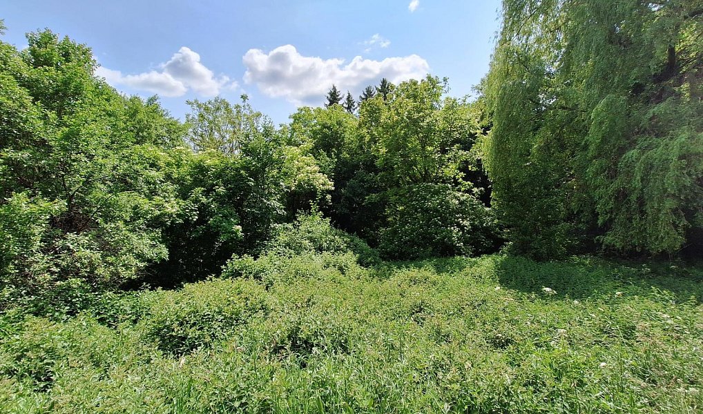 Prodej domu 80 m² s pozemkem 18 929 m², Žítková – náhled fotky 11