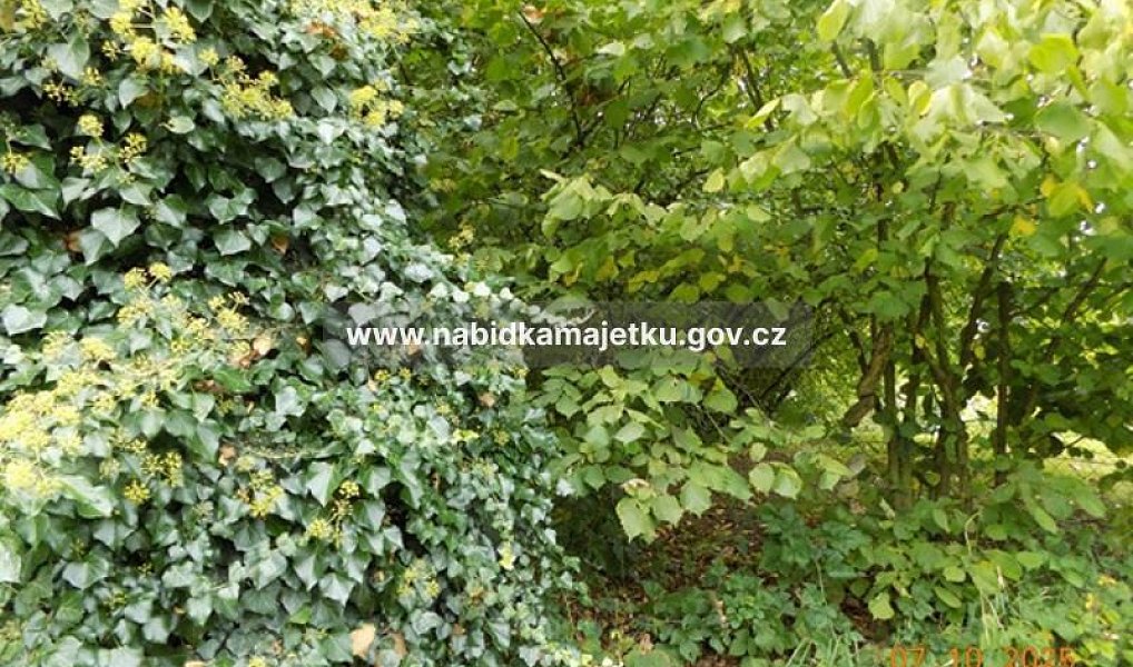 Prodej pozemku 703 m², Přimda – náhled fotky 3