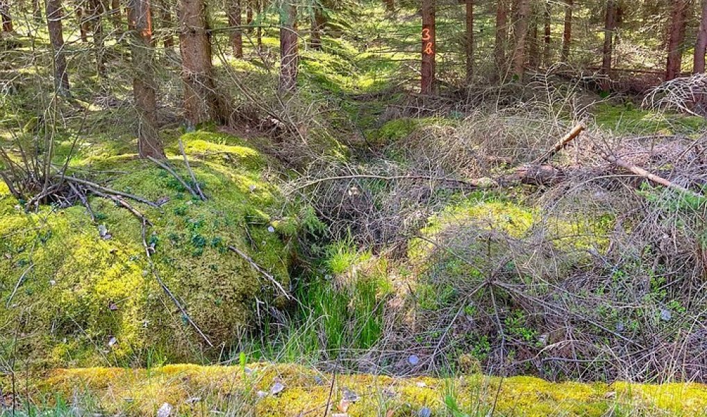 Prodej vodní plochy 16 545 m², Trstěnice – náhled fotky 17