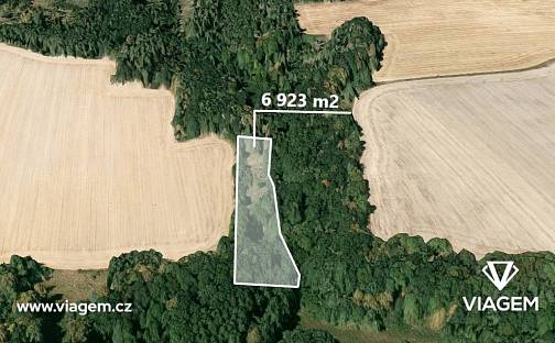 Prodej pole 4 615 m², Úvalno, okres Bruntál