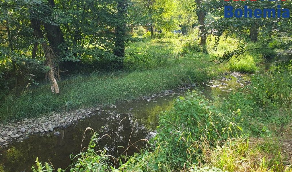 Prodej chaty/chalupy 35 m² s pozemkem 4 500 m², Bechyně – náhled fotky 21