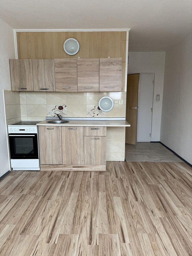 Prodej bytu 1+1 35 m² — photo 2