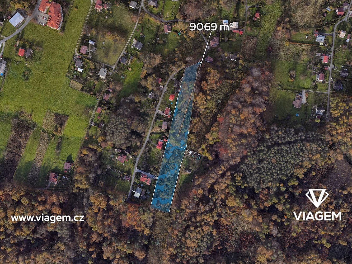 Prodej lesa 9 069 m² – fotografie 2