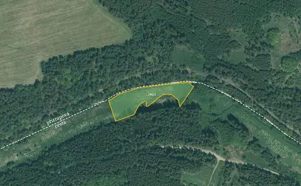 Prodej louky 4 514 m², Bor - Skviřín, okres Tachov