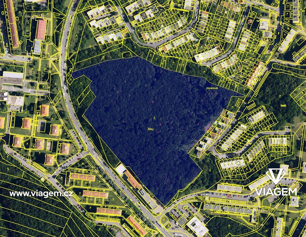 Prodej lesa 4 190 m² – fotografie 2