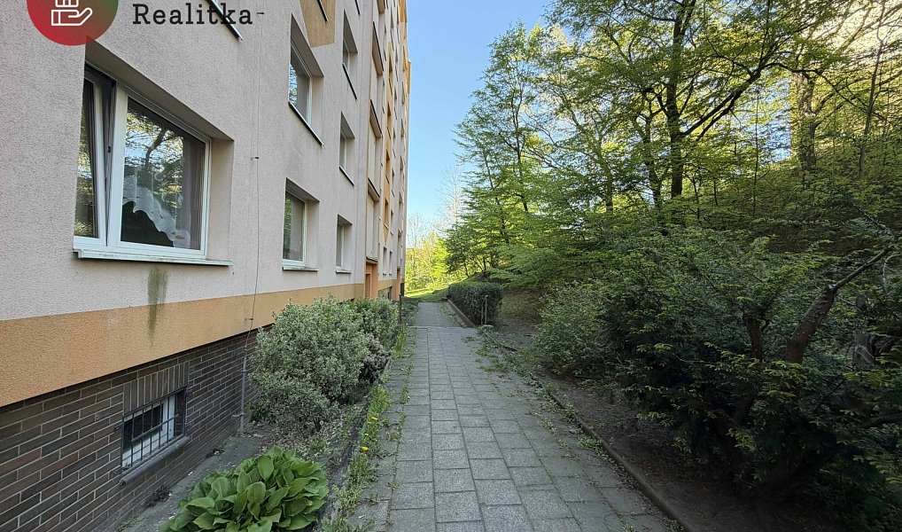 Pronájem bytu 1+kk 20 m², Ústí nad Labem – náhled fotky 58