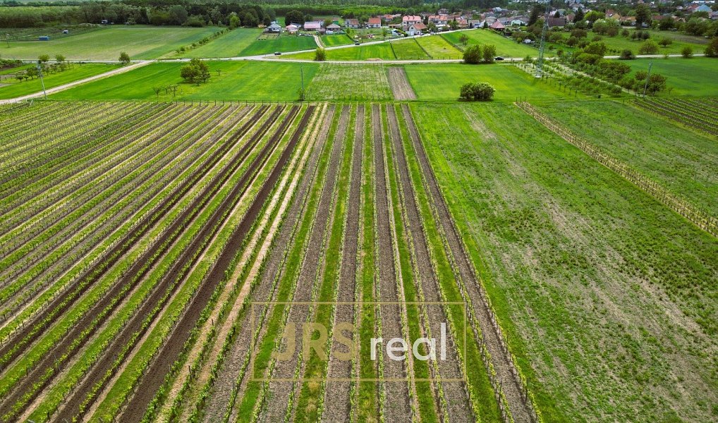 Prodej pole 3 474 m², Březí – náhled fotky 3