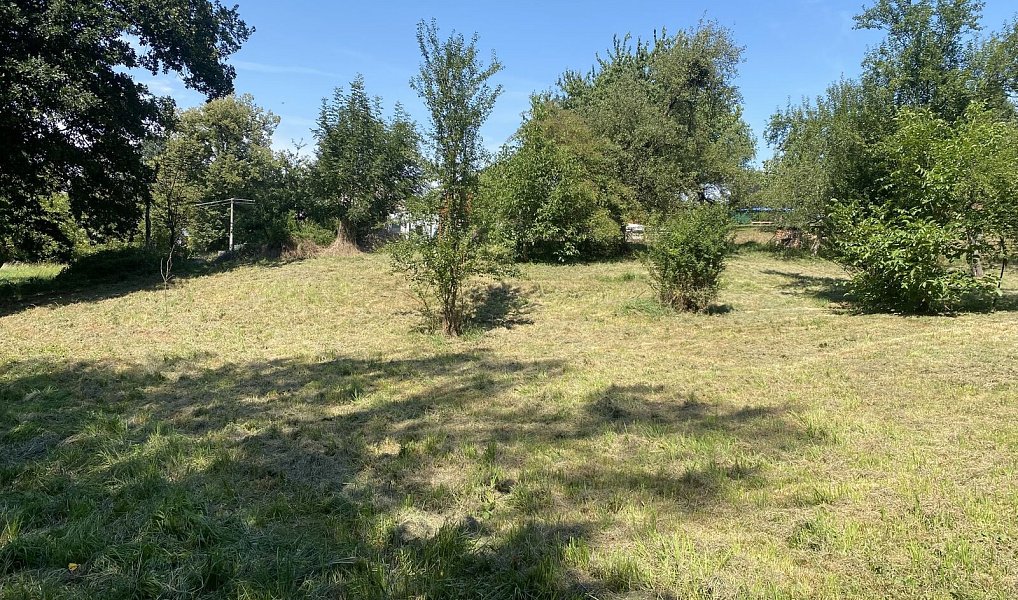 Prodej stavebního pozemku 2 500 m², Dolní Lutyně – náhled fotky 12